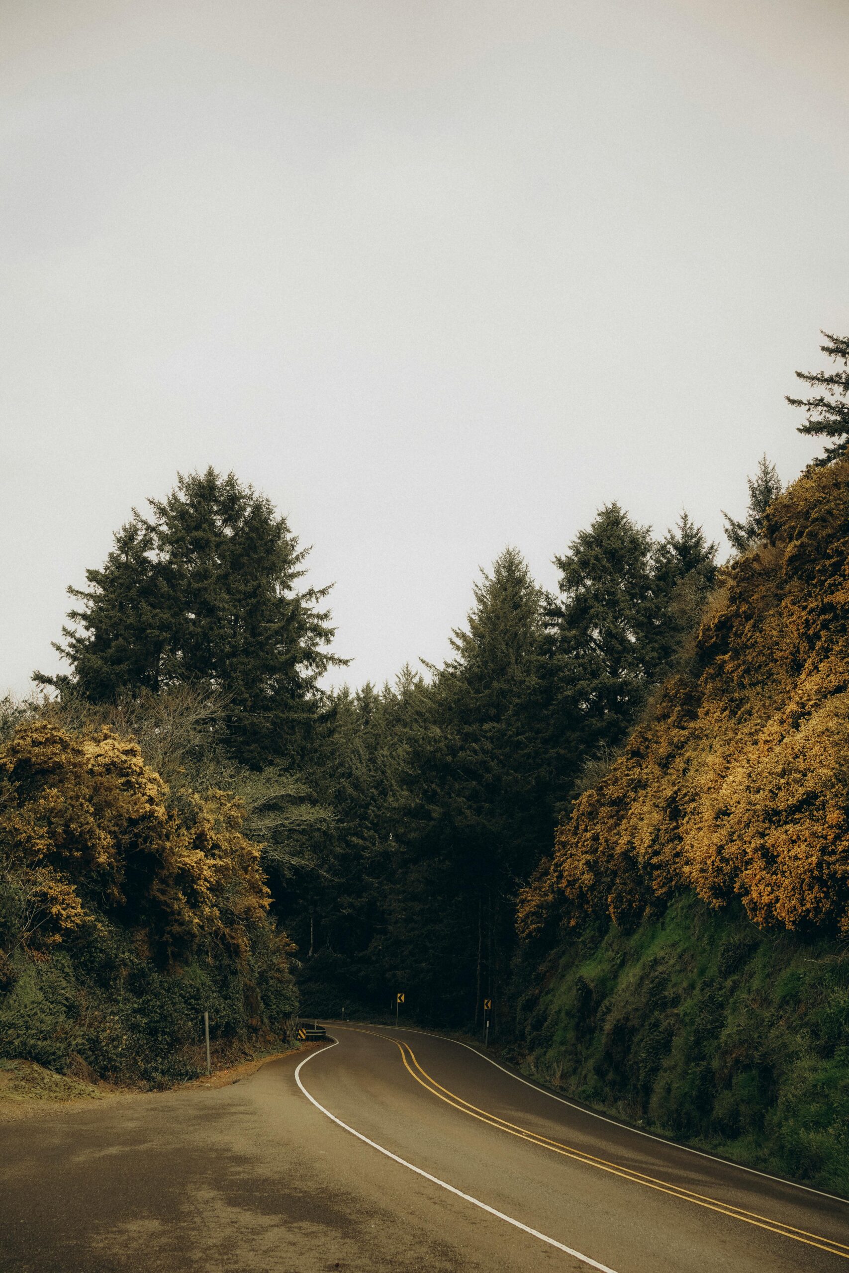 Oregon-road-trip-itinerary